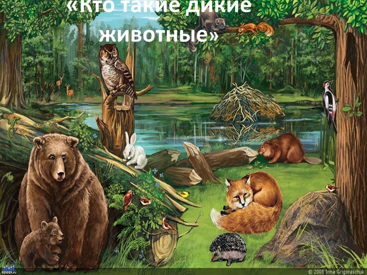 Презентация на тему "Дикие животные" Учебники, Презентации и Подготовка к Экзаменам для Школьников на Klass-Uchebnik.com
