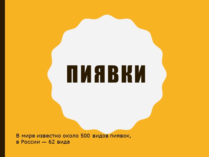 Презентация по биологии 7 класс "Пиявки" Учебники, Презентации и Подготовка к Экзаменам для Школьников на Klass-Uchebnik.com