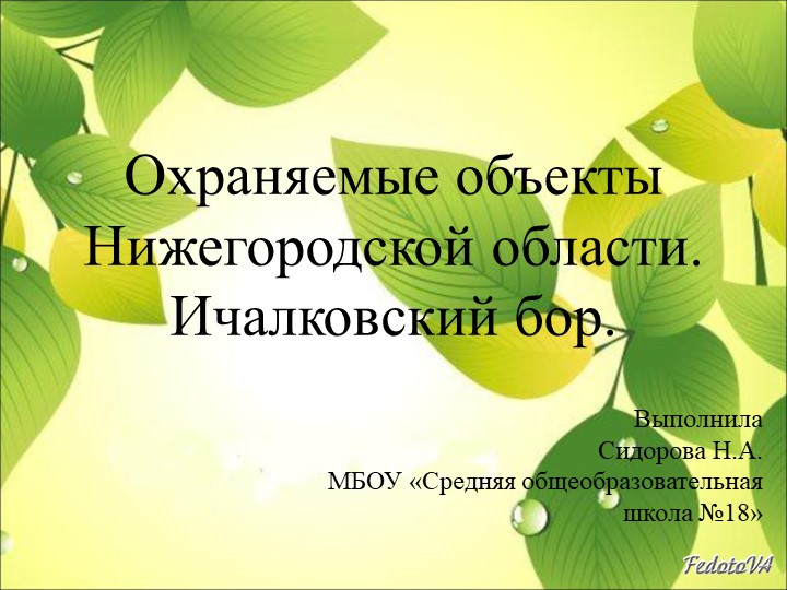 Ичалковский бор. Нижегородская область. - Учебники, Презентации и Подготовка к Экзаменам для Школьников на Klass-Uchebnik.com