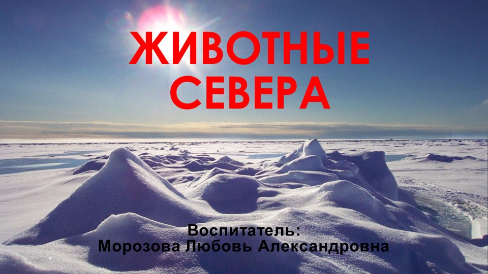 Презентация по познавательному развитию "Животные Севера" - Учебники, Презентации и Подготовка к Экзаменам для Школьников на Klass-Uchebnik.com