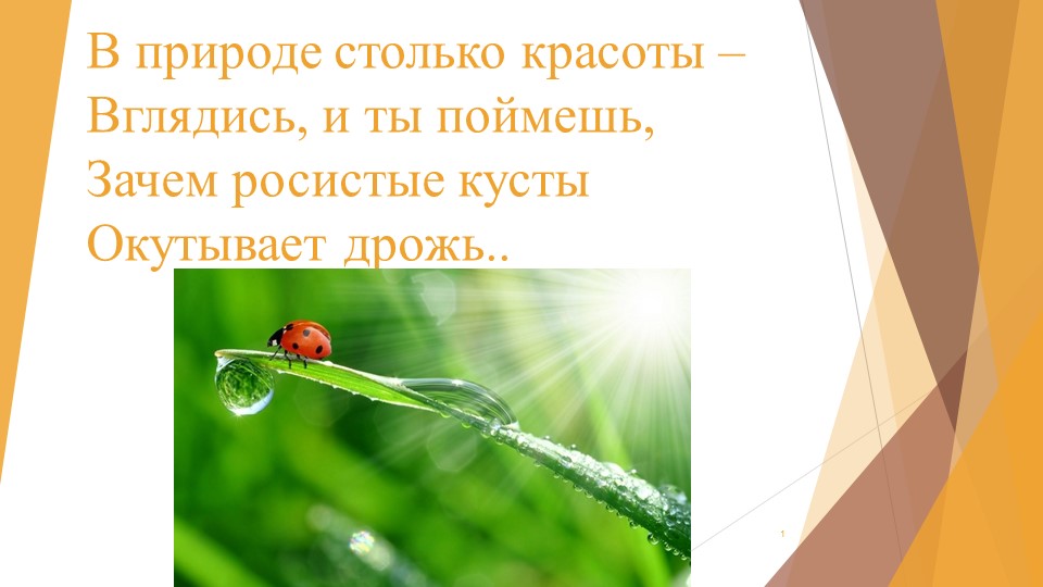 Презентация к уроку биологии в 5 классе "Цартсво Животные" 12 параграф (учебник под ред. Пономаревой И.Н.) Учебники, Презентации и Подготовка к Экзаменам для Школьников на Klass-Uchebnik.com