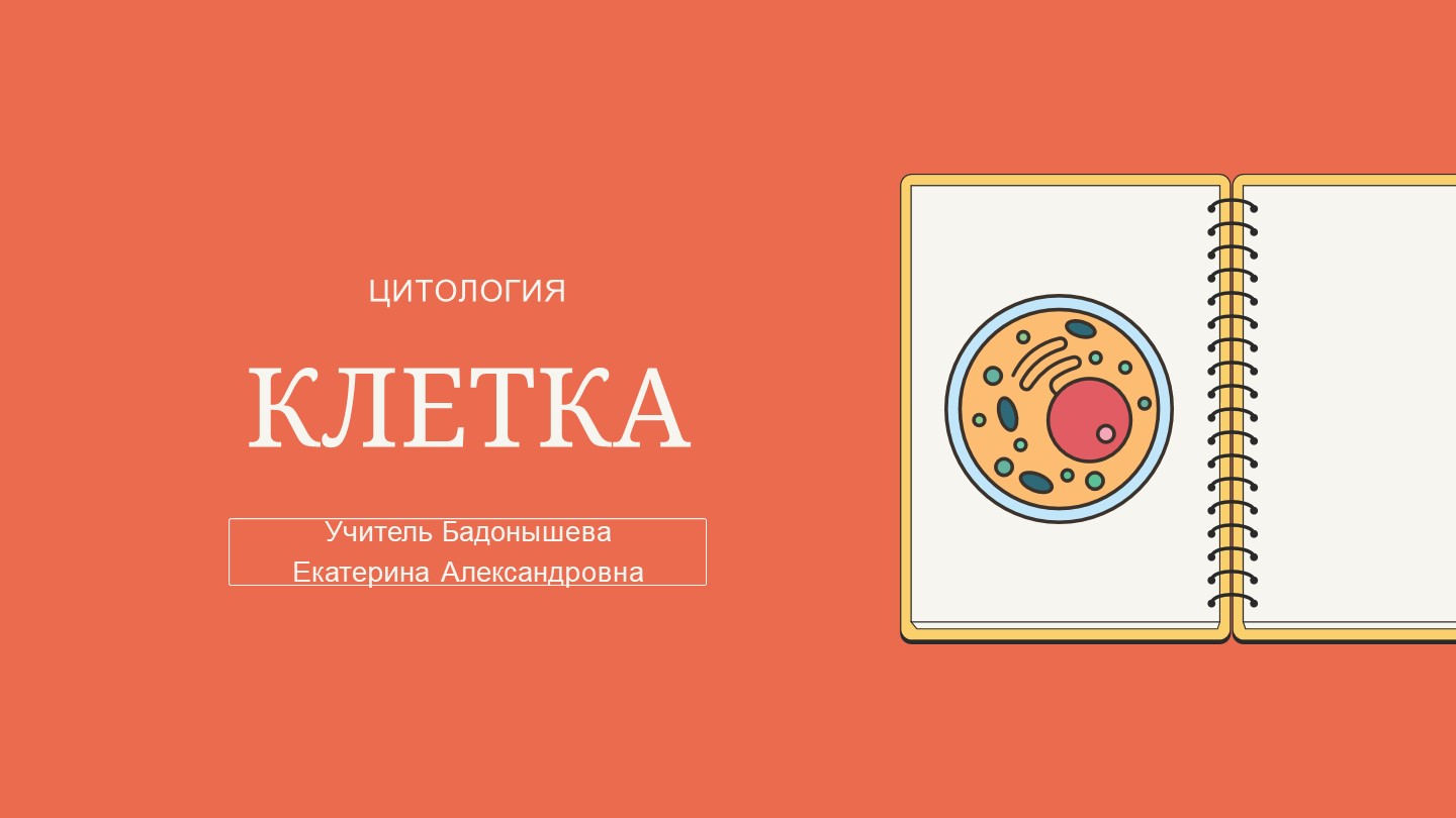 Презентация по теме "Клетка". Учебники, Презентации и Подготовка к Экзаменам для Школьников на Klass-Uchebnik.com