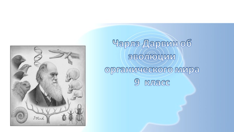 Презентация к уроку " Чарлз Дарвин об эволюции органического мира" - Учебники, Презентации и Подготовка к Экзаменам для Школьников на Klass-Uchebnik.com