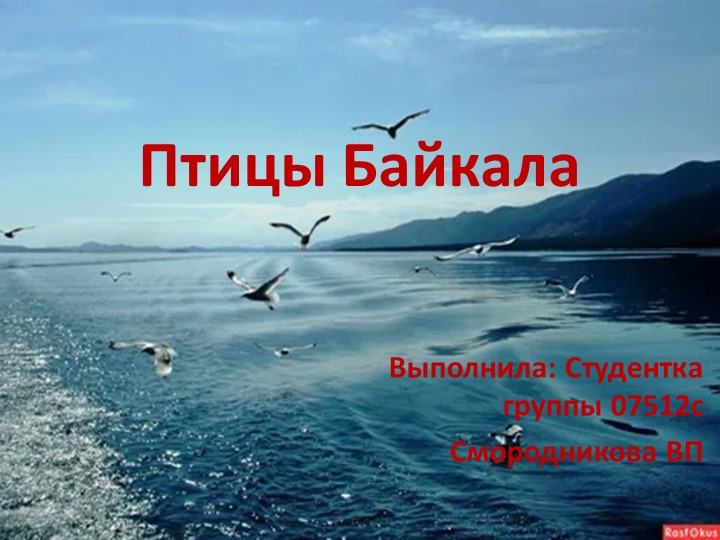 Презентация на тему "Птицы Байкала" - Учебники, Презентации и Подготовка к Экзаменам для Школьников на Klass-Uchebnik.com