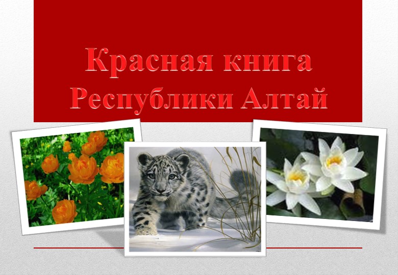 Красная книга Республики Алтай - Учебники, Презентации и Подготовка к Экзаменам для Школьников на Klass-Uchebnik.com