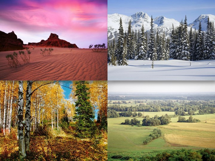 Презентация на тему Среда умеренных широт Учебники, Презентации и Подготовка к Экзаменам для Школьников на Klass-Uchebnik.com