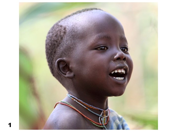 Презентация по теме "Расы" - Учебники, Презентации и Подготовка к Экзаменам для Школьников на Klass-Uchebnik.com