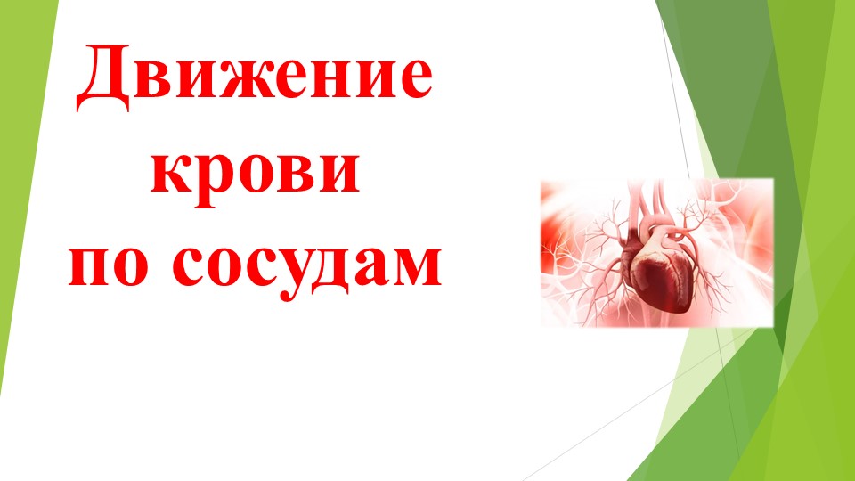 Презентация по биологии на тему "Движение крови по сосудам", 8 класс - Учебники, Презентации и Подготовка к Экзаменам для Школьников на Klass-Uchebnik.com