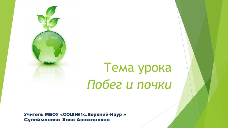 Презентация "Побег и почки". - Учебники, Презентации и Подготовка к Экзаменам для Школьников на Klass-Uchebnik.com