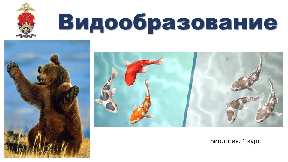 Презентация по биологии на тему "Видообразование" (9 класс) - Учебники, Презентации и Подготовка к Экзаменам для Школьников на Klass-Uchebnik.com