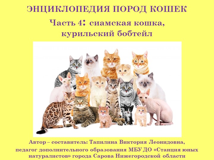 Презентация "Энциклопедия пород кошек. Часть 4: сиамская кошка, курильский бобтейл (3 класс) Учебники, Презентации и Подготовка к Экзаменам для Школьников на Klass-Uchebnik.com