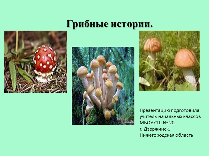 Презентация по окружающему миру на тему: "Грибные истории" (3 класс) - Учебники, Презентации и Подготовка к Экзаменам для Школьников на Klass-Uchebnik.com