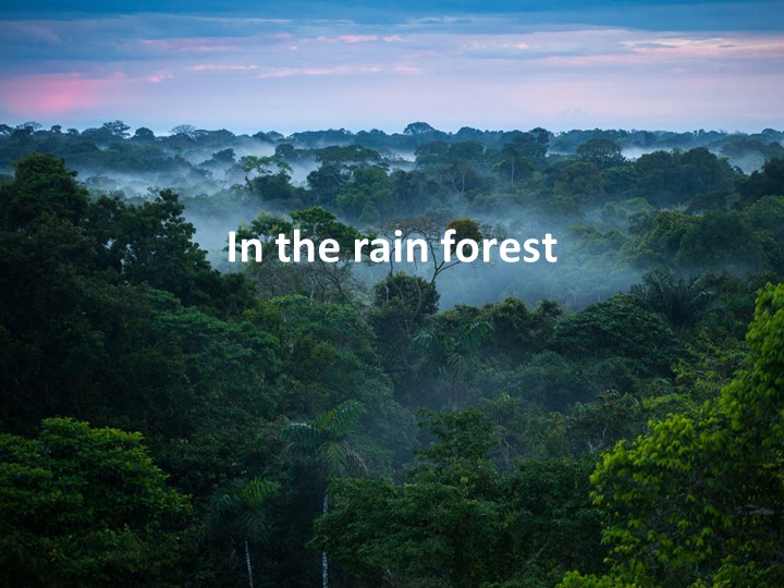 Презентация по английскому языку "In the rain forest" (3 класс) Учебники, Презентации и Подготовка к Экзаменам для Школьников на Klass-Uchebnik.com