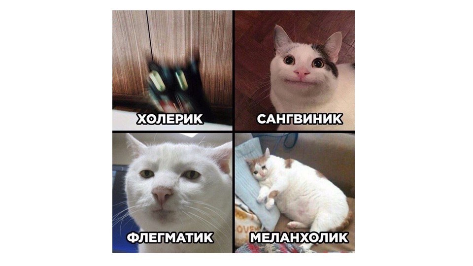 Презентация - тест "Темперамент" Учебники, Презентации и Подготовка к Экзаменам для Школьников на Klass-Uchebnik.com