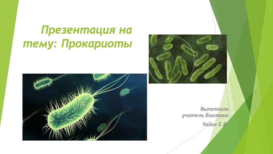 Презентация по биологии "Прокариоты" Учебники, Презентации и Подготовка к Экзаменам для Школьников на Klass-Uchebnik.com