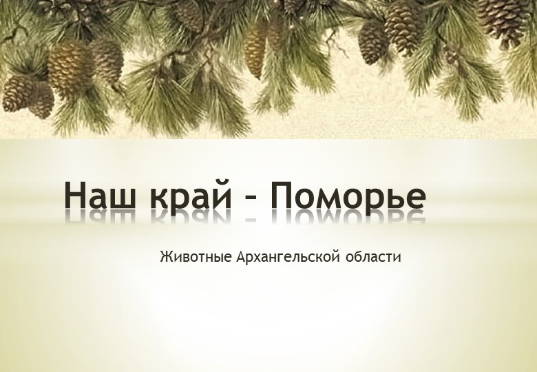 Презентация для внеклассного мероприятия на тему "Наш край – Поморье. Животные Архангельской области" Учебники, Презентации и Подготовка к Экзаменам для Школьников на Klass-Uchebnik.com