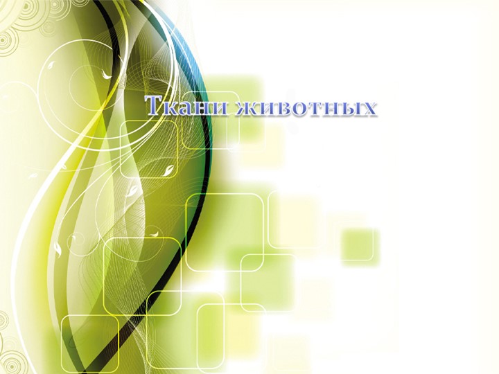 Презентация по биологии на тему: "Ткани животных" 7 класс Учебники, Презентации и Подготовка к Экзаменам для Школьников на Klass-Uchebnik.com