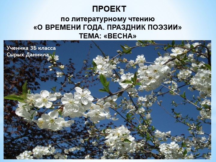 Праздник поэзии 3 класс литературное чтение проект