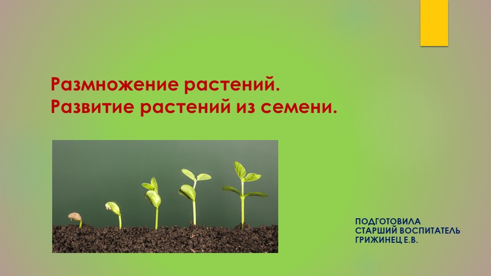 Как познакомить ребенка дошкольника с процессом развития растения, Конечно, использовать наглядный материал. Учебники, Презентации и Подготовка к Экзаменам для Школьников на Klass-Uchebnik.com