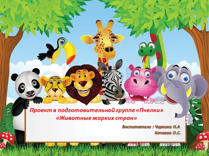 Проект в подготовительной группе "Животные жарких стран" Учебники, Презентации и Подготовка к Экзаменам для Школьников на Klass-Uchebnik.com