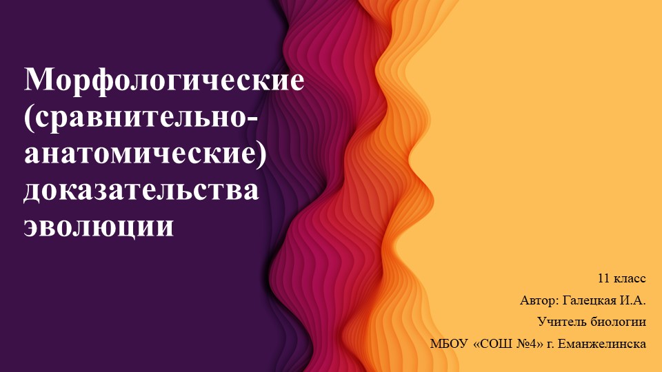 Презентация по биологии на тему "Морфологические доказательства эволюции человека" - Учебники, Презентации и Подготовка к Экзаменам для Школьников на Klass-Uchebnik.com