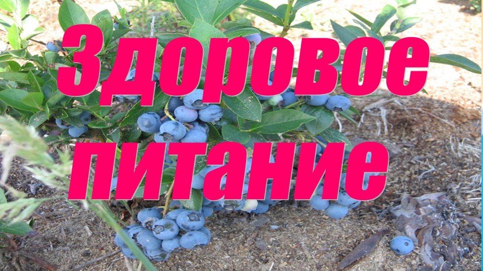 Презентация по внеклассной работе "Здоровое питание" Учебники, Презентации и Подготовка к Экзаменам для Школьников на Klass-Uchebnik.com