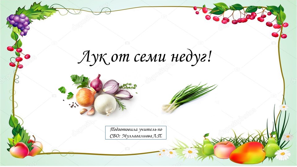 Презентация по СБО "Лук от семи недуг" Учебники, Презентации и Подготовка к Экзаменам для Школьников на Klass-Uchebnik.com