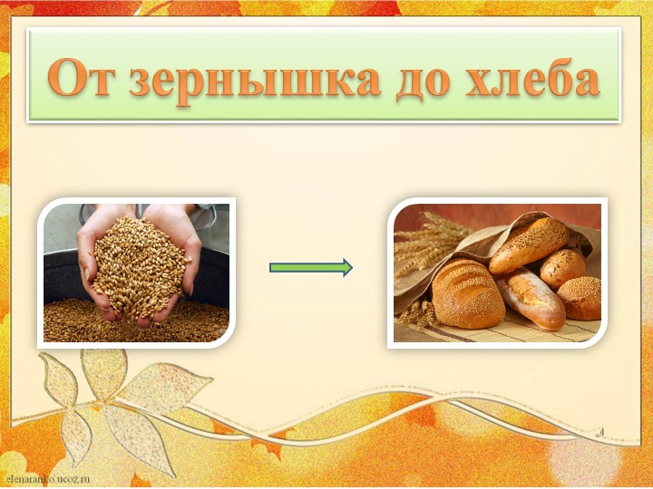 Презентация по развитию речи на тему "От зернышка к хлебу" Учебники, Презентации и Подготовка к Экзаменам для Школьников на Klass-Uchebnik.com