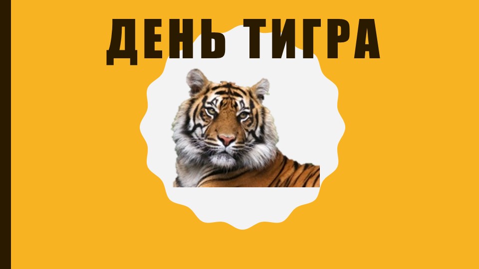 Презентация "День тигра" (3 класс) Учебники, Презентации и Подготовка к Экзаменам для Школьников на Klass-Uchebnik.com