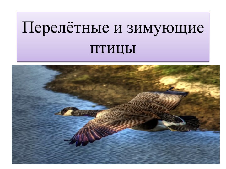 Презентация для образовательной деятельности - Учебники, Презентации и Подготовка к Экзаменам для Школьников на Klass-Uchebnik.com
