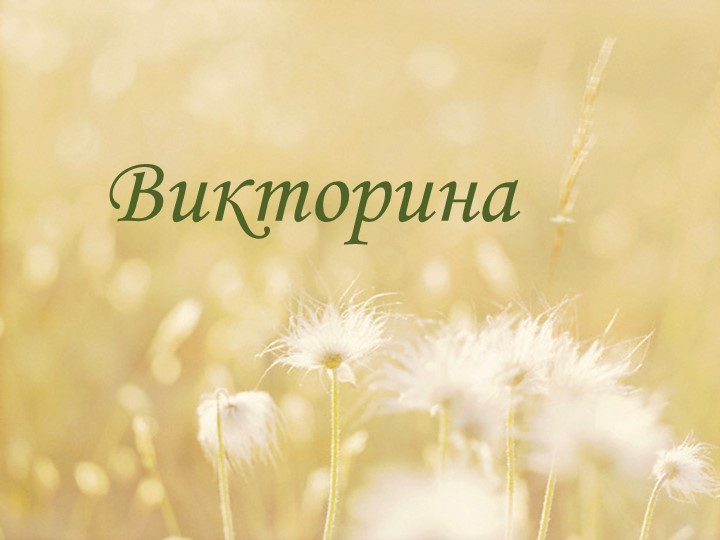 Презентация "Викторина" (6 класс) Учебники, Презентации и Подготовка к Экзаменам для Школьников на Klass-Uchebnik.com