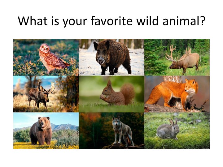 Презентация по английскому языку на тему "A whale of a time" (4 кл) Учебники, Презентации и Подготовка к Экзаменам для Школьников на Klass-Uchebnik.com