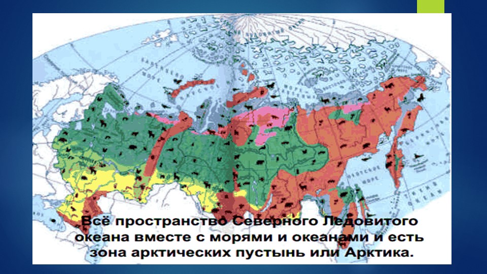 Презентация по окружающему миру "Арктическая пустыня" - Учебники, Презентации и Подготовка к Экзаменам для Школьников на Klass-Uchebnik.com