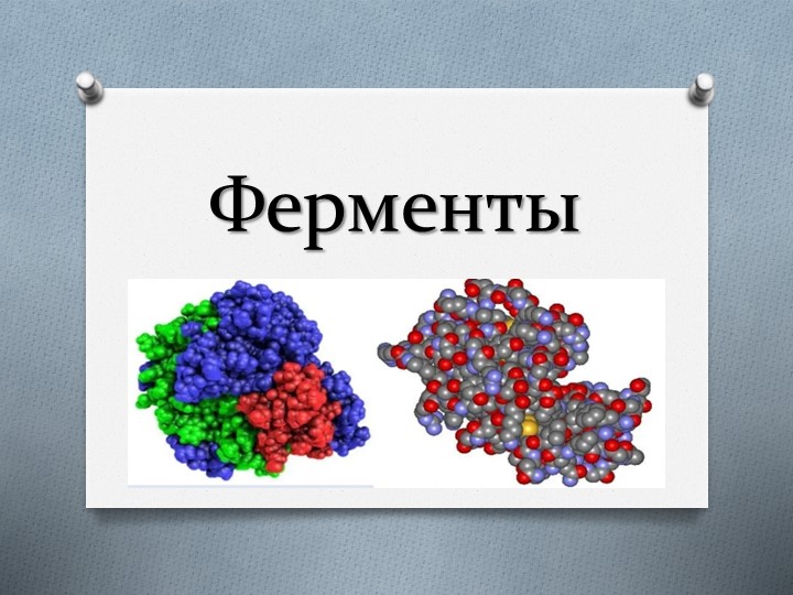Презентация по химии на тему "Ферменты" - Учебники, Презентации и Подготовка к Экзаменам для Школьников на Klass-Uchebnik.com