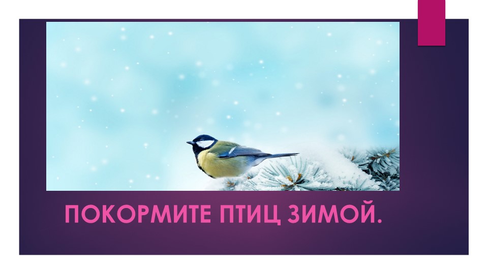 Презентация по окружающему миру "Поможем птицам пережить зимую" Учебники, Презентации и Подготовка к Экзаменам для Школьников на Klass-Uchebnik.com