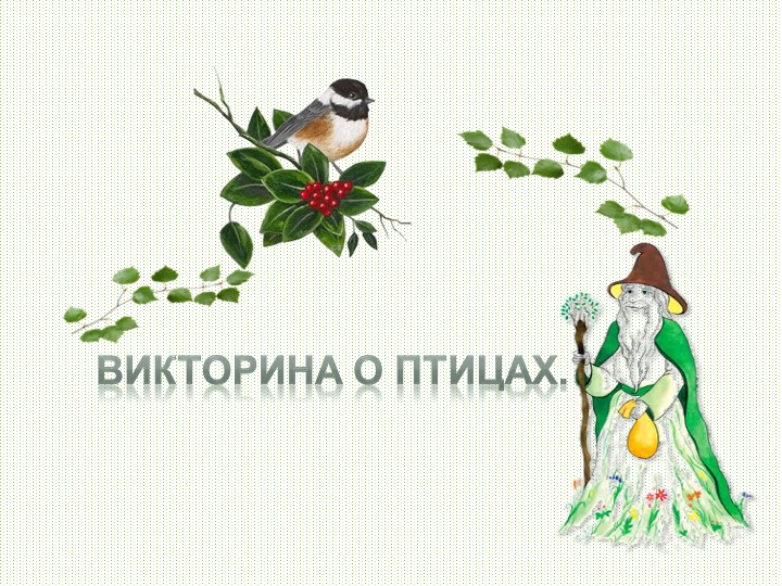 Презентация "Викторина о птицах". Учебники, Презентации и Подготовка к Экзаменам для Школьников на Klass-Uchebnik.com