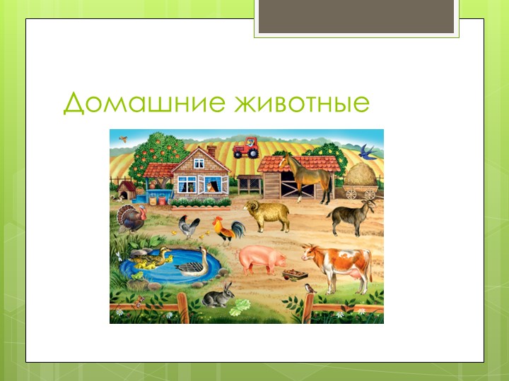 Презентация по развитию речи " Домашние животные" - Учебники, Презентации и Подготовка к Экзаменам для Школьников на Klass-Uchebnik.com