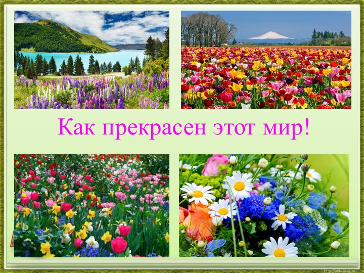 Орган зрения. Зрительный анализатор (8 класс) - Учебники, Презентации и Подготовка к Экзаменам для Школьников на Klass-Uchebnik.com