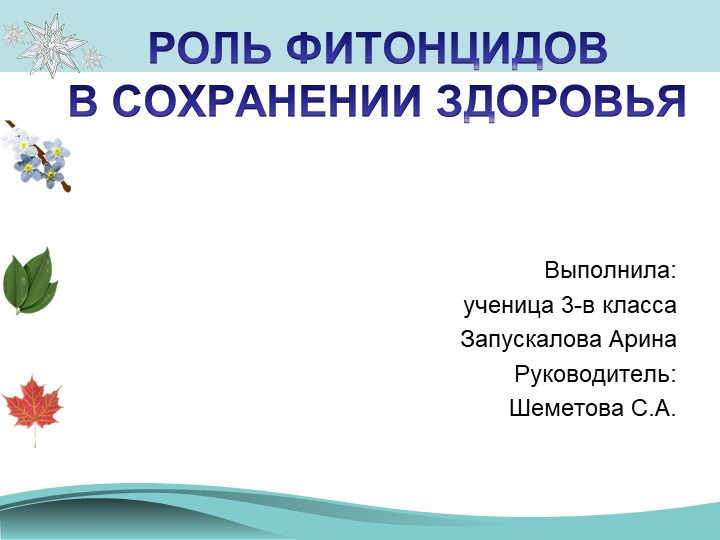 Презентация к работе "влияние фитонцидов на здоровье человека" - Учебники, Презентации и Подготовка к Экзаменам для Школьников на Klass-Uchebnik.com