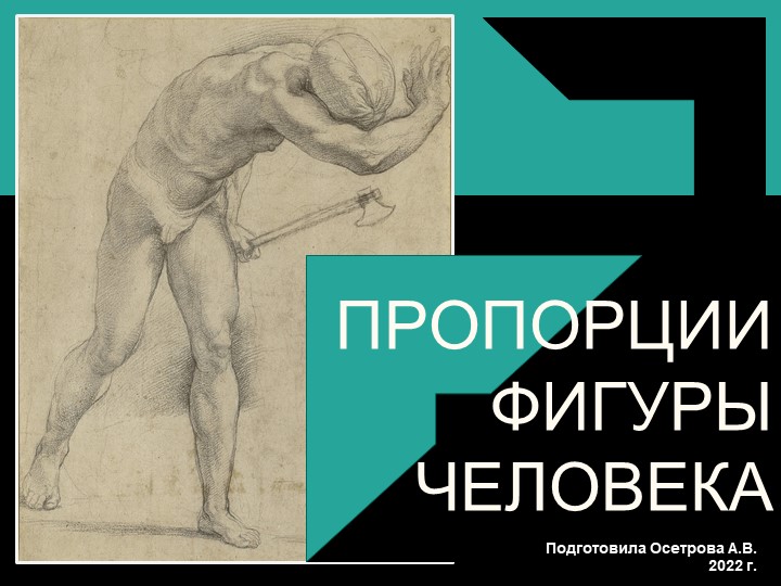 Презентация по пластической анатомии "Пропорции фигуры человека" - Учебники, Презентации и Подготовка к Экзаменам для Школьников на Klass-Uchebnik.com
