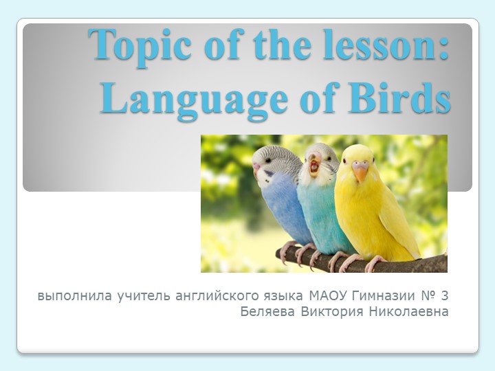 Презентация к уроку английского языка на тему "Language of Birds" (7 класс) - Учебники, Презентации и Подготовка к Экзаменам для Школьников на Klass-Uchebnik.com