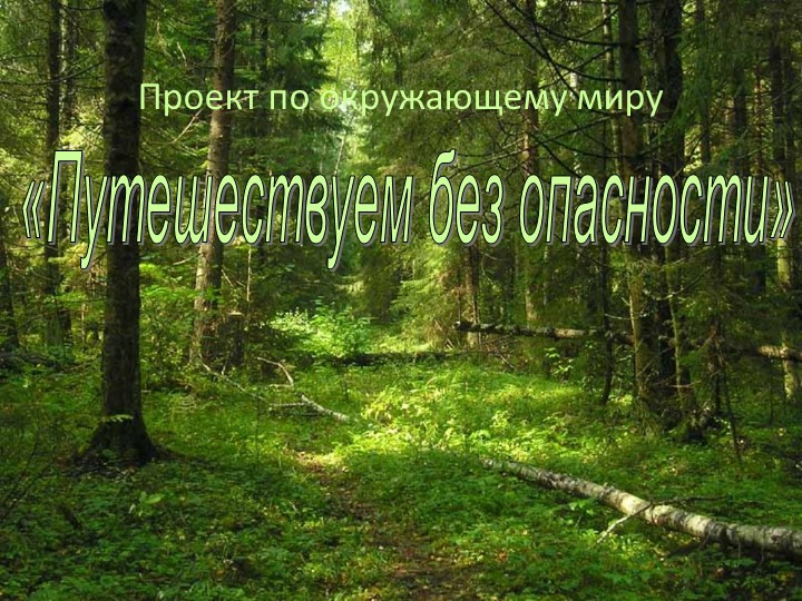 «Путешествуем без опасности» окружающий мир. - Учебники, Презентации и Подготовка к Экзаменам для Школьников на Klass-Uchebnik.com