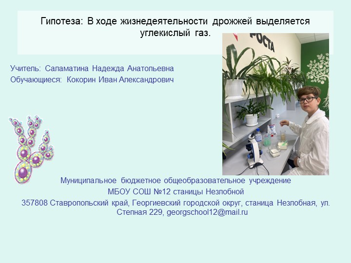 Презентация " Жизнедеятельность дрожжей" Учебники, Презентации и Подготовка к Экзаменам для Школьников на Klass-Uchebnik.com