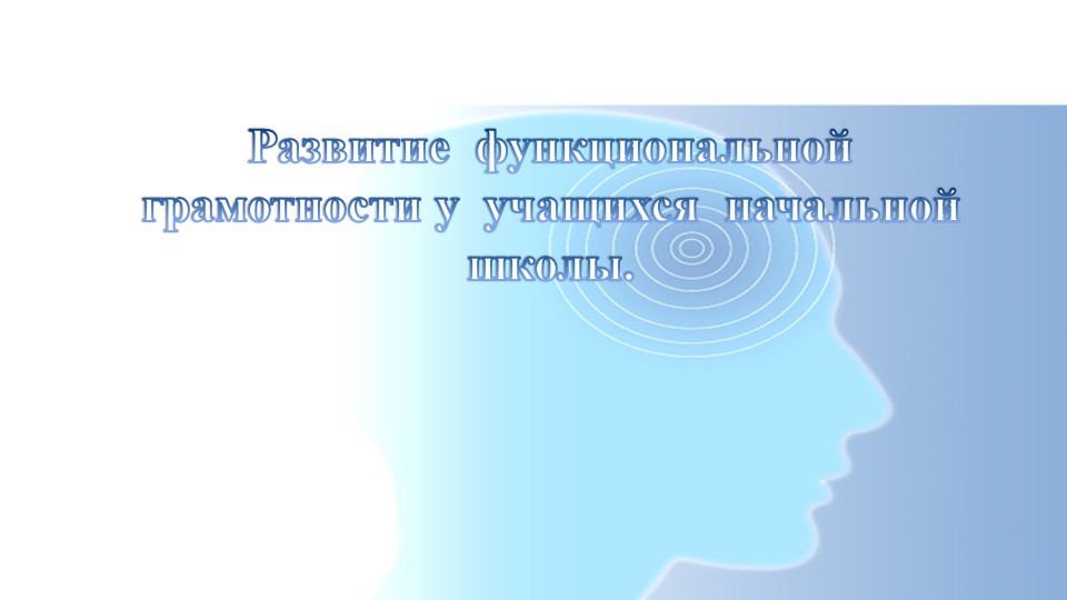 "Развитие функциональной грамотности у учащихся начальной школы" Учебники, Презентации и Подготовка к Экзаменам для Школьников на Klass-Uchebnik.com