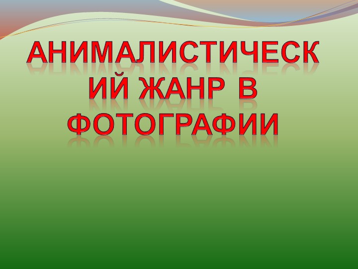 Презентация "Анималистический жанр" (фотография) - Учебники, Презентации и Подготовка к Экзаменам для Школьников на Klass-Uchebnik.com