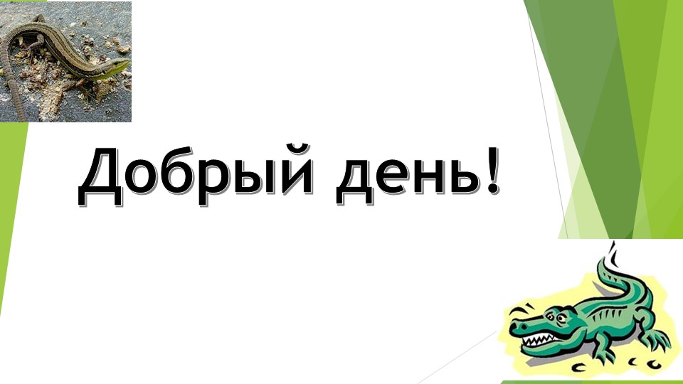 Презентация к уроку внутренние строение пресыщающих Учебники, Презентации и Подготовка к Экзаменам для Школьников на Klass-Uchebnik.com