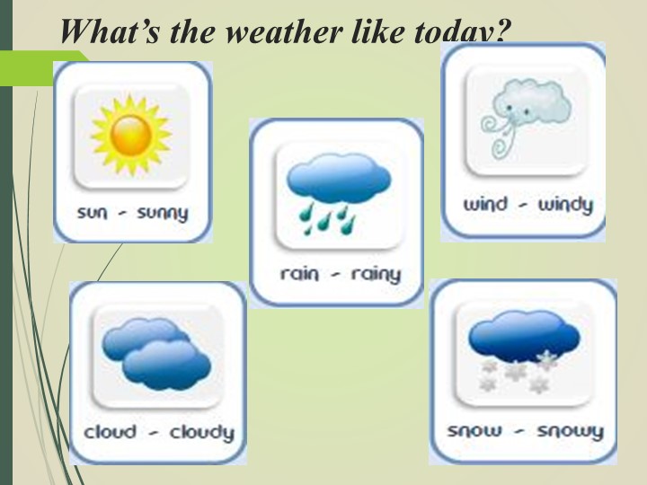 Презентация к уроку "What do you know about the rain forest" - Учебники, Презентации и Подготовка к Экзаменам для Школьников на Klass-Uchebnik.com