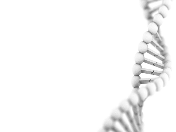 Презентация для подготовки школьников 9 класса к ВОШ (региональный уровень) Учебники, Презентации и Подготовка к Экзаменам для Школьников на Klass-Uchebnik.com