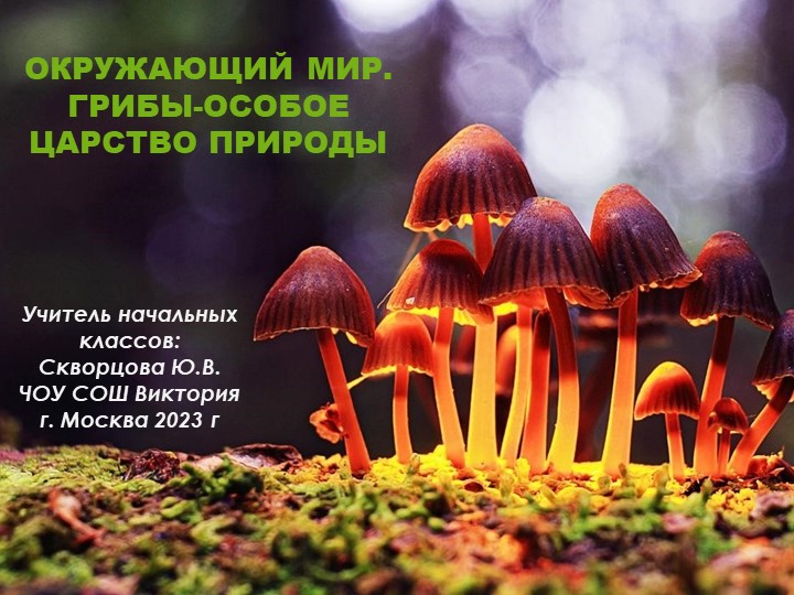 Презентация по окружающему миру на тему "Многообразие грибов" 2 класс - Учебники, Презентации и Подготовка к Экзаменам для Школьников на Klass-Uchebnik.com
