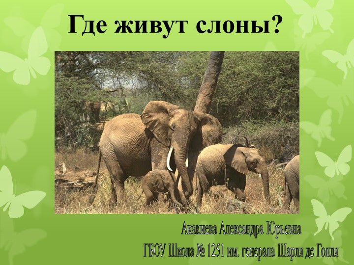 Презентация по окружающему миру "Где живут слоны" (1 класс) Учебники, Презентации и Подготовка к Экзаменам для Школьников на Klass-Uchebnik.com